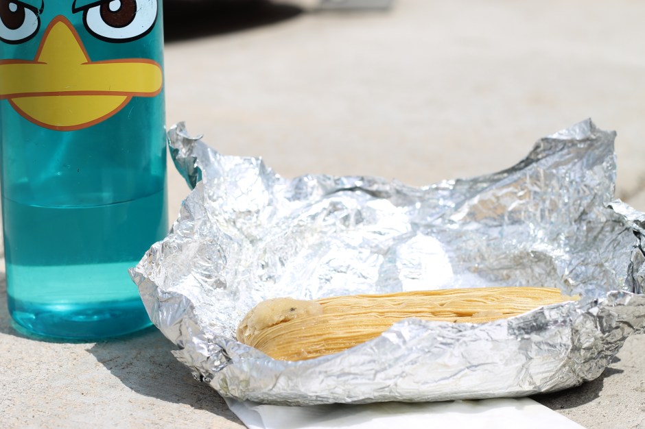 Spinach and carmalized onion tamale