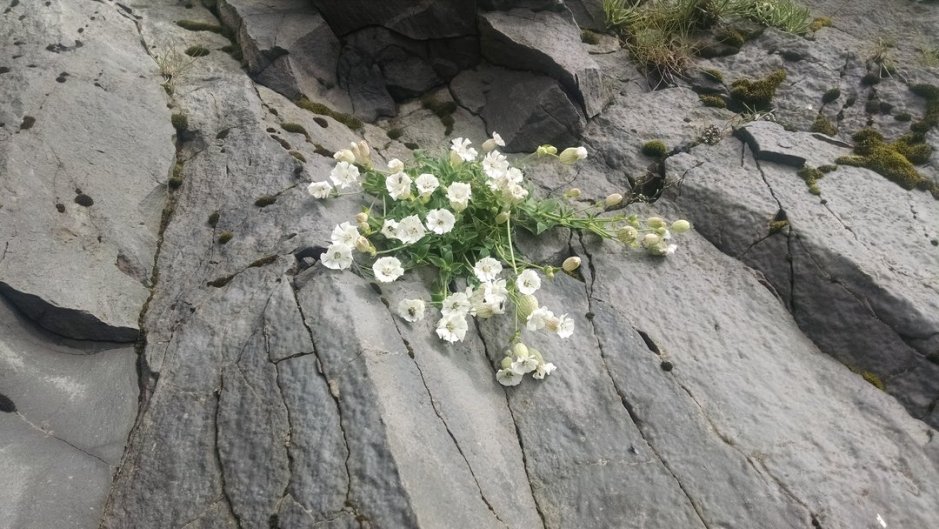 IMG_20150722_160730185_small