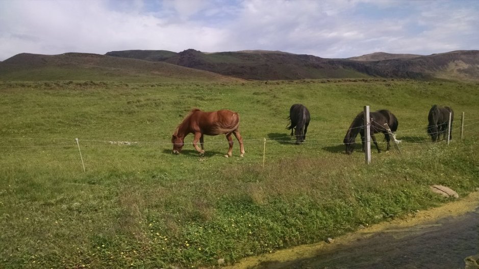 IMG_20150723_154330661_small