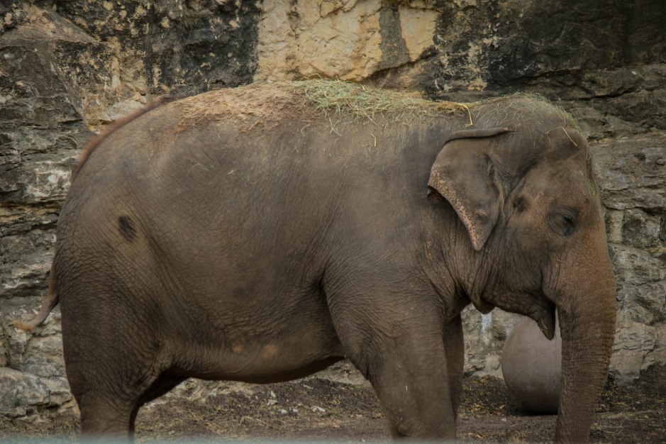 Carl and Denitsa 3-2