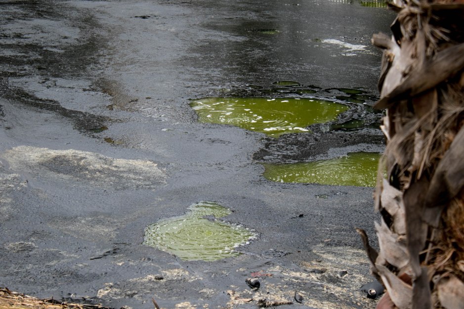 Carl and Denitsa 3-2