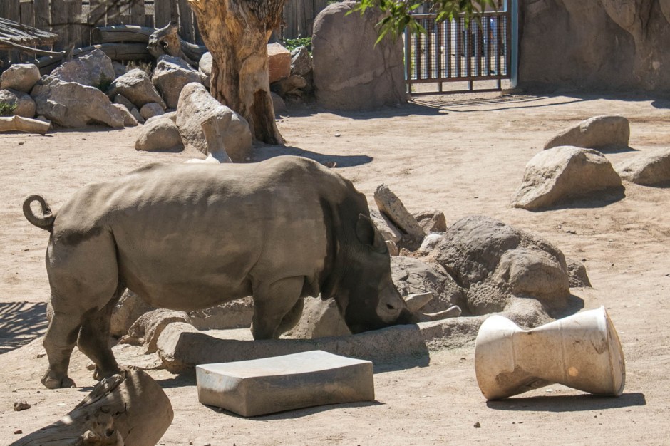 Carl and Denitsa 3-3