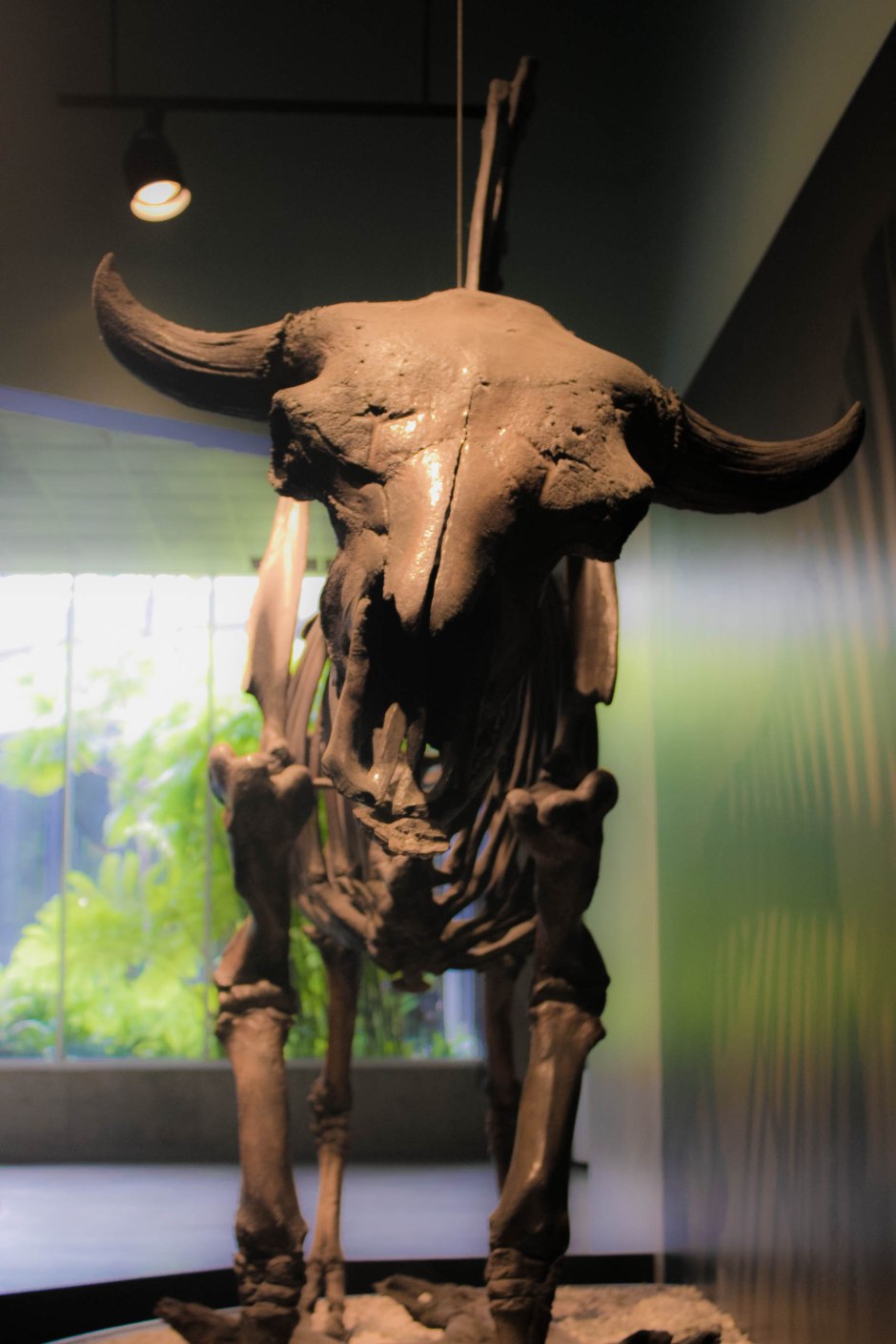 Carl and Denitsa 3-3