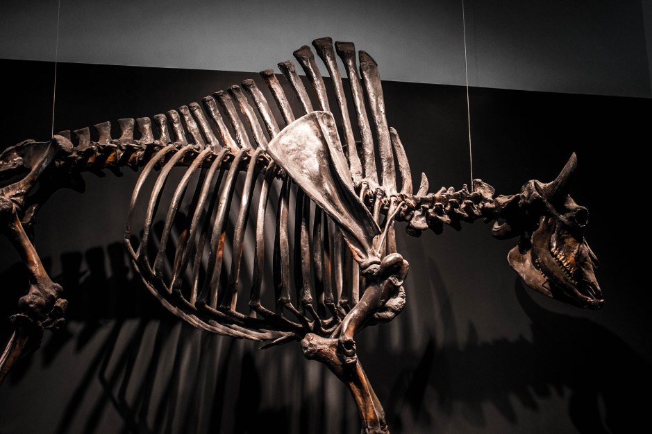 Carl and Denitsa 3-4