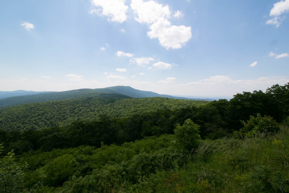 Carl and Denitsa 3-5