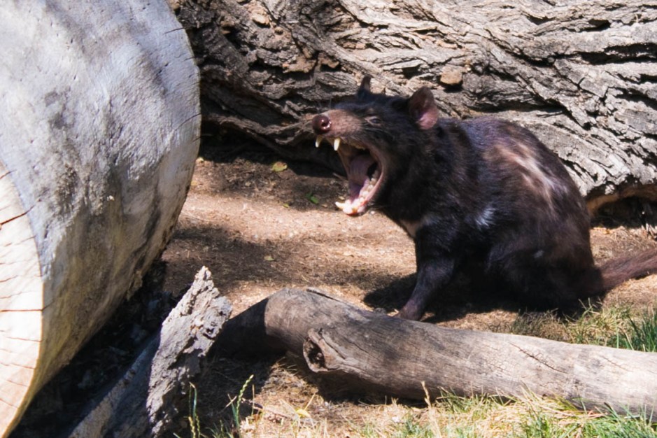 Carl and Denitsa 3-6