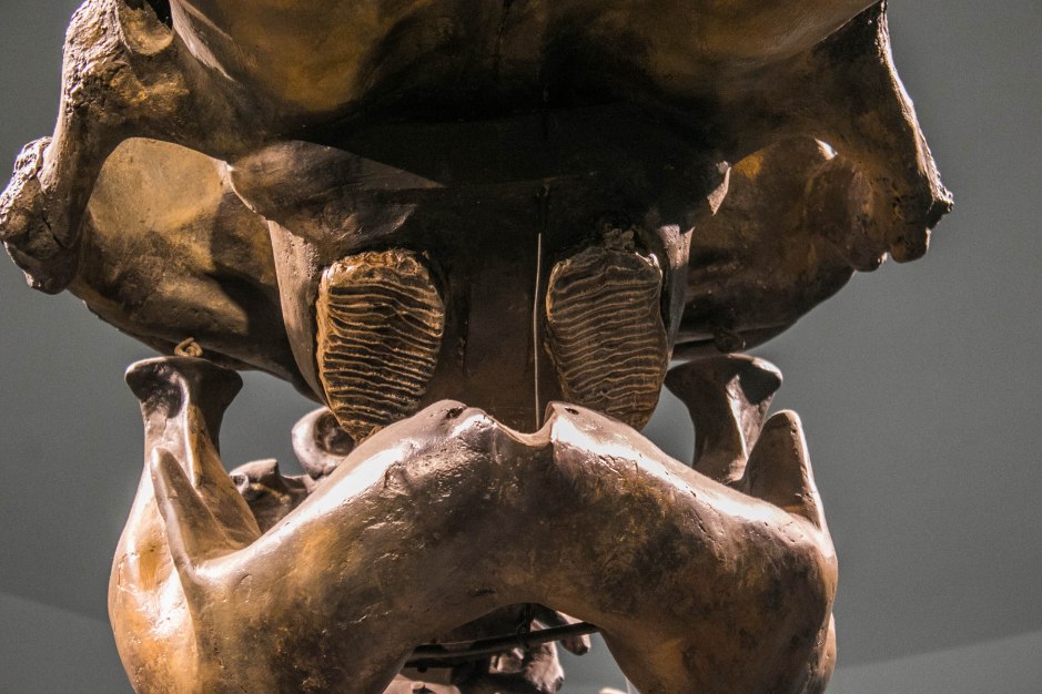 Carl and Denitsa 3-6