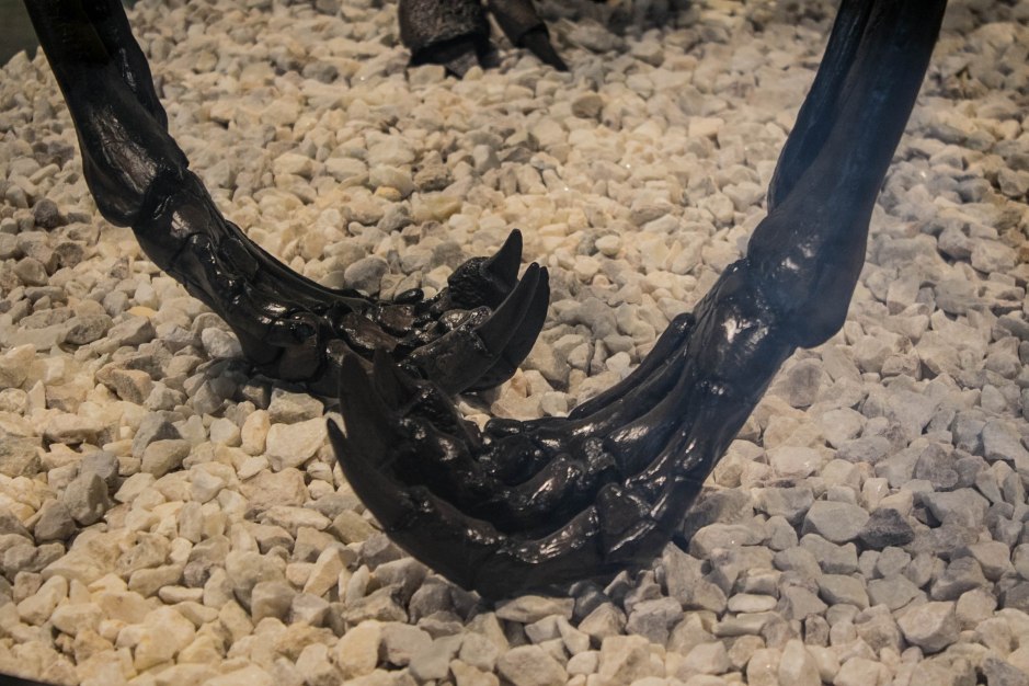 Carl and Denitsa 3-7